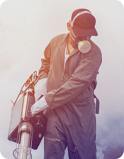 residential pest control Melbourne